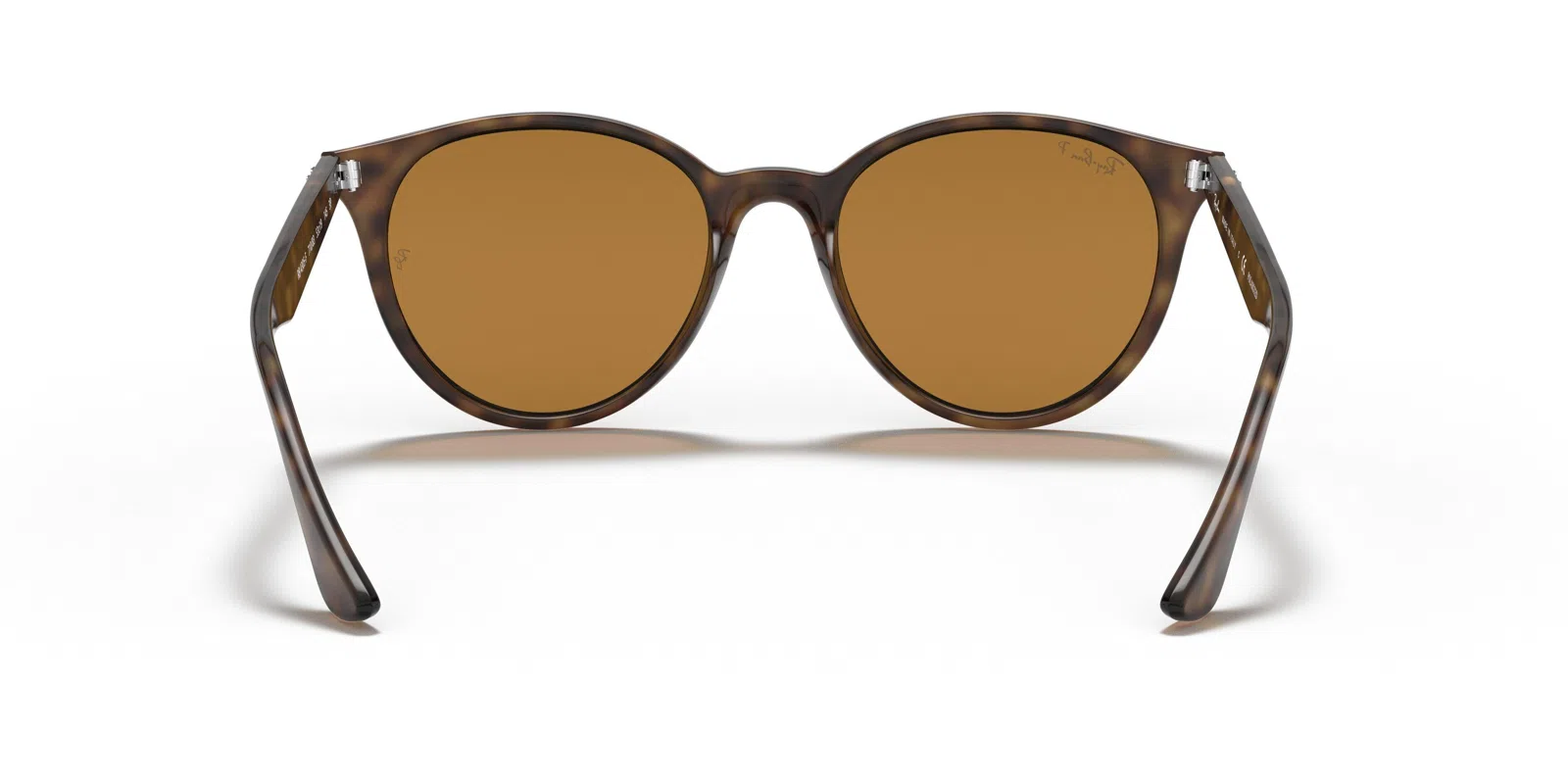 Ray-Ban 4305F Sunglasses - view 18